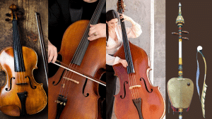 Bowed Strings