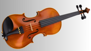 Fiddle
