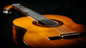 Guitar