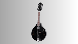 Mandolin
