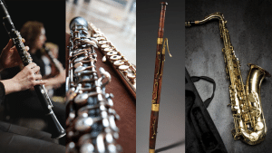 Single__Double_Reeds