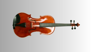 Viola